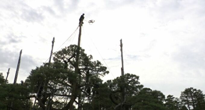 兼六園に冬の訪れ　風物詩の雪吊り作業始まる　|　石川県のニュース｜MRO北陸放送