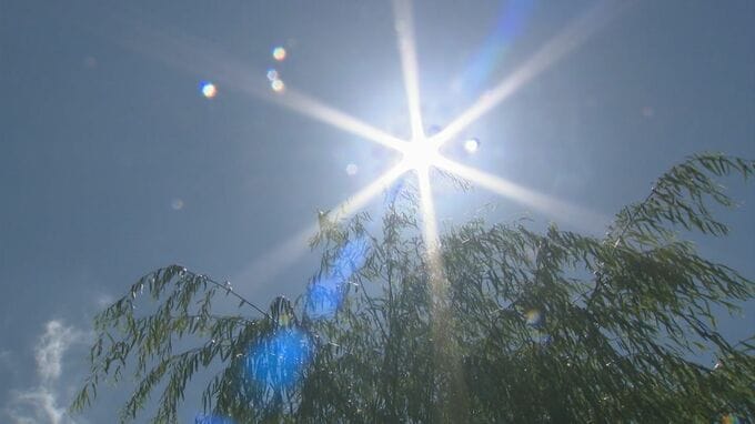 80代男性が畑で倒れ重症…20代男性が目の前が白黒になり嘔吐…20代男性と50代女性がエアコンの壊れた部屋で気分不良に　熱中症疑い救急搬送相次ぐ|TBS NEWS DIG