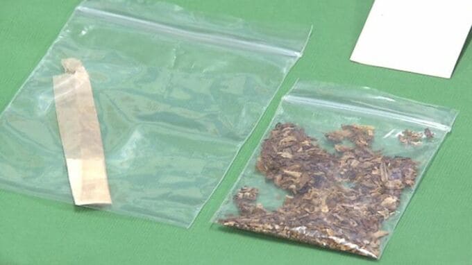 韓国から麻薬など密輸か リュックには大麻草入りタバコ ポケットには麻薬成分含む固形物 フランス国籍の男を逮捕|TBS NEWS DIG