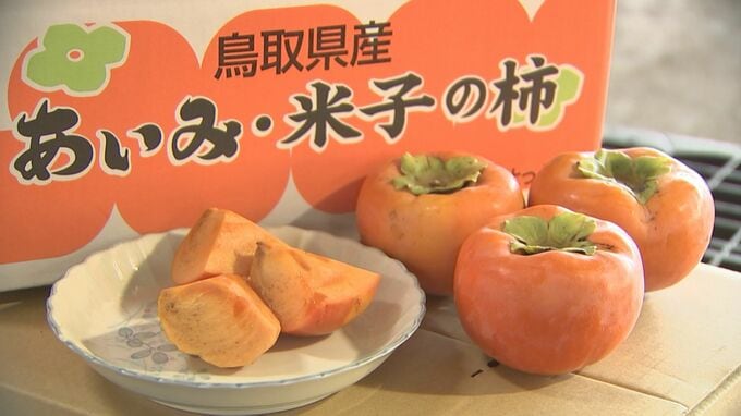 柿の種を飛ばしてハワイへ！「富有柿の里」が直面する壁…後継者は4分の1に「いつまでも富有柿ばかりつくっているわけじゃないので」|TBS NEWS DIG