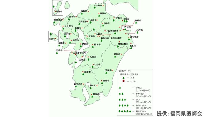 【花粉情報・最新】気温上昇でスギ花粉の飛散量が増加　福岡・佐賀・長崎・熊本・大分・鹿児島|TBS NEWS DIG