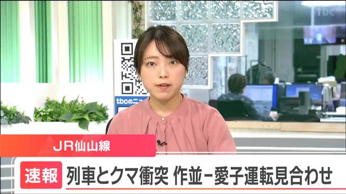 【速報】列車とクマが衝突で運転見合わせ　仙台・JR仙山線|TBS NEWS DIG
