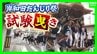 【岸和田だんじり祭】19日（土）に宵宮　だんじり曳きを関東出身・MBS新人アナが体験　祭りにかける思いとは「一年中祭りのことを考えている…」　|　MBSニュース | 関西の最新ニュースを分かりやすく。