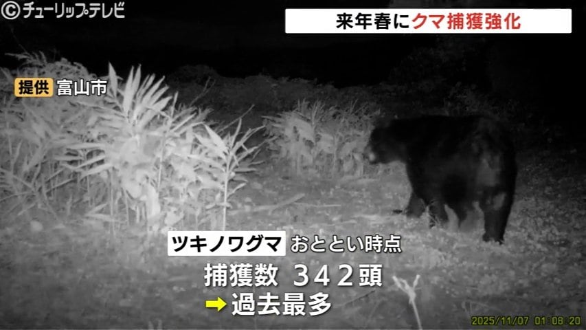 クマ対策強化へ 来年春、個体数管理のクマ捕獲を初導入 富山 | TBS