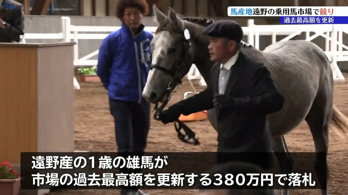 乗馬用品一式（75万円相当）☆価格交渉OKです！