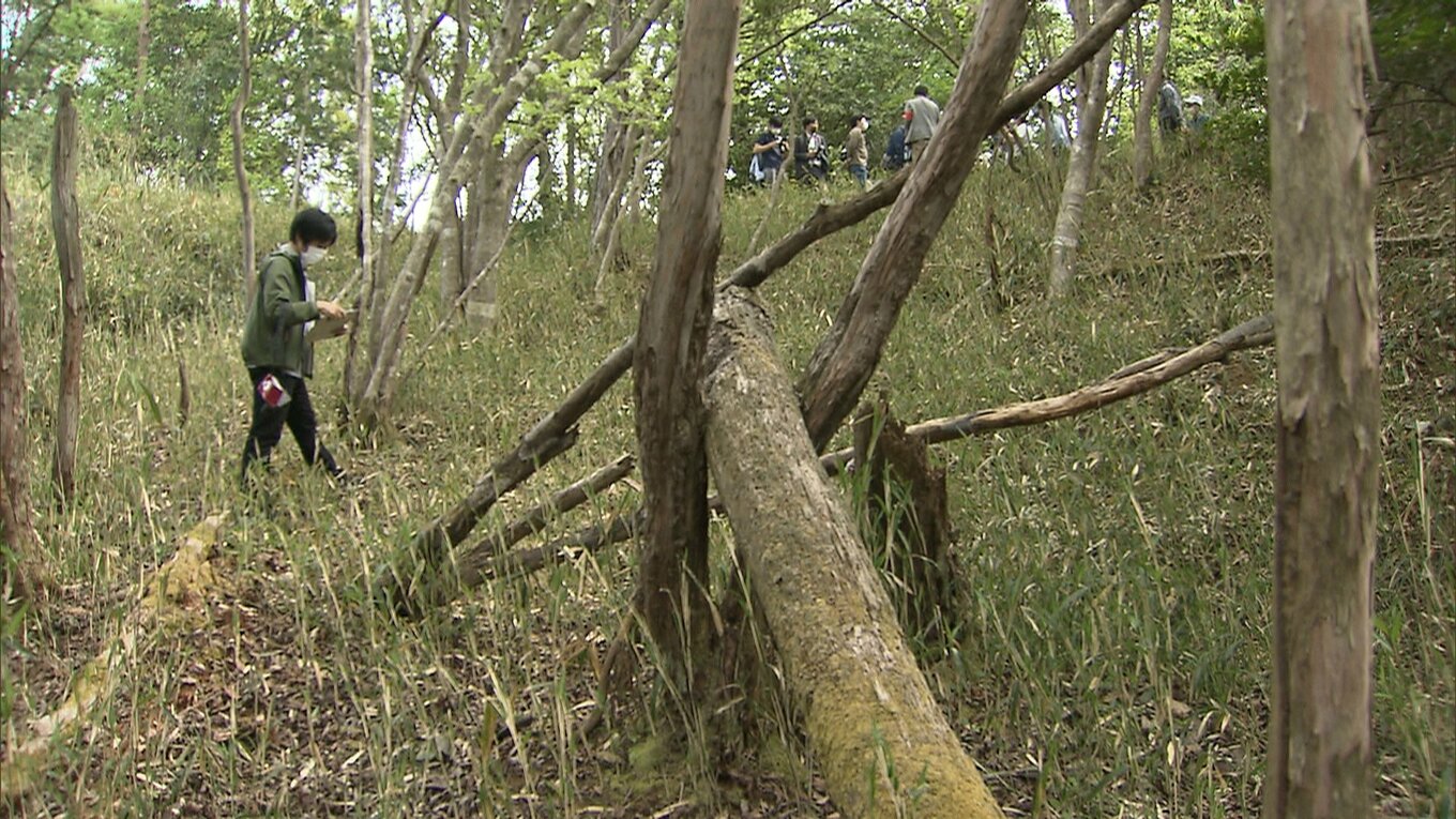 無期懲役下された父親...決定のカギを握るのは『写真差し替え』『死斑の位置』あす再審可否を判断へ…日野町事件 | TBS NEWS DIG ...