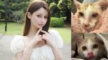 【ダレノガレ明美】虫取り網で保護した子猫「ララ」くんの現在を報告！ わずか10日で見違える姿にファン大絶賛「本当にキレイになった」 |TBS NEWS DIG