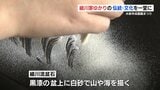 黒漆の盆上に白砂で山や海を描く「細川流盆石」　細川家ゆかりの伝統文化を一堂に　水前寺成趣園まつり　|TBS NEWS DIG