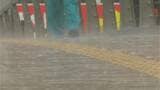 あす5日にかけて大気の状態が不安定 落雷や竜巻などの激しい突風などに注意 鹿児島|TBS NEWS DIG