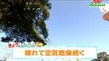 【24日宮城の天気】晴れて暖か　花粉の大量飛散と乾燥に注意　仙台で最高気温16℃予想　tbc気象台|TBS NEWS DIG