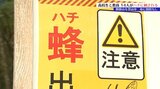 学校行事で鞍掛山で登山をしていた高校生と教員、下山中に蜂に刺され14人搬送 命に別状なし 岩手・滝沢市|TBS NEWS DIG