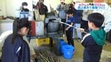 子供たちが黒糖作りに挑戦　種子島・安納小学校【かごしま南北600キロ】　|　鹿児島のニュース｜MBC NEWS｜南日本放送