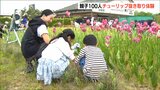 「球根をスポっと抜いて…」見ごろを終えたチューリップをみんなで抜き取ろう 新潟市中央区|TBS NEWS DIG