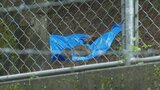 女性画家遺棄事件 殺人容疑に切り替え捜査継続 行方不明から3年で情報提供よびかけ | 山梨のニュース | UTYテレビ山梨