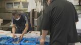 「あちこちに声をかけて集荷。それでも少ない」台風や暑さの影響で魚が獲れず　仕入れ価格高騰で経営に痛手|TBS NEWS DIG