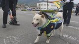 柴犬の「雪太郎」も参加 新学期スタートにあわせて通学路を見守り 山梨 | 山梨のニュース | UTYテレビ山梨