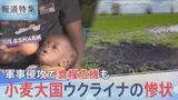 “小麦大国”ウクライナへの軍事侵攻がもたらす 深刻な世界食糧危機【報道特集】|TBS NEWS DIG