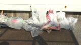 気軽にごみ拾いをしてもらう「マナティ」 高校生がPR | 愛媛のニュース - Nスタえひめ|あいテレビは6チャンネル