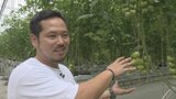 「限りある資源の中で最適化を目指していく」収穫量は7倍 人手は半分 進むスマート農業 | 山梨のニュース | UTYテレビ山梨