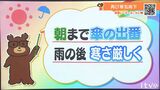 15日(水)は朝にかけて傘の出番 雨の後は寒さが厳しく | 愛媛のニュース - Nスタえひめ|あいテレビは6チャンネル