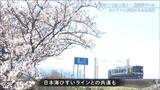 残雪と青空と桜… 日本海ひすいラインと交わる『姫川の桜づつみ』のひと時|TBS NEWS DIG