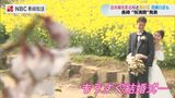白木峰高原 桜と菜の花と花嫁の共演【長崎】 | 長崎のニュース | 天気 | NBC長崎放送