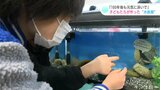 「100年後も元気に泳いで」 量販店に小学生がミニ水族館設置 館長は生き物大好きな少年 | 高知のニュース・天気|KUTV NEWS | KUTVテレビ高知