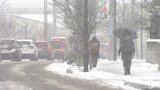 「去年のように降ったら地獄」青森市で一時積雪8cmに 最遅の初雪から一夜 大雪に注意 | 青森のニュース│ATV NEWS│青森テレビ