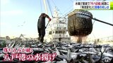 「サバなければならない港」　海流の変化で水揚げ激減　「八戸前沖さば」ブランドに影響　|　青森のニュース│ATV NEWS│青森テレビ