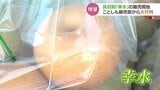 「お盆が来たなって思う…」開店前から200人超える長い列…呉羽梨「幸水」発売 |TBS NEWS DIG