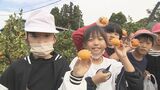 観光農園でミカン狩りのシーズン ミカンソフトや果汁で炊いたご飯のカレーも人気 大分 | 大分のニュース|OBS NEWS|大分放送