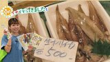 駅から徒歩10秒!17店舗の新鮮・豊富な海の幸でオリジナル朝食はイカが?“イカのまち”の本気の市場~朝イチ行ってきました~【八戸市魚菜小売市場】 | 青森のニュース│ATV NEWS│青森テレビ