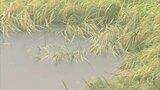 台風10号の被害総額は368億5100万円 インフラや農林水産業に甚大な影響 大分 | 大分のニュース|OBS NEWS|大分放送