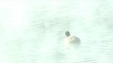 霧の中に浮かぶ水鳥…今季一番の寒さ 伊佐市で-4.1度 寒い日しばらく続く 鹿児島 | 鹿児島のニュース|MBC NEWS|南日本放送