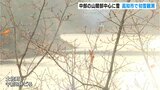 強い冬型の気圧配置 中部の山間部中心に雪 高知市で初雪観測 | 高知のニュース・天気|KUTV NEWS | KUTVテレビ高知