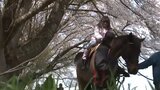 馬とともにめでる桜 水沢競馬場の並木が4年ぶり開放|TBS NEWS DIG