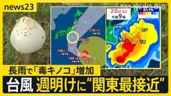 【台風25号】長雨で増加「毒キノコ」「雨漏り」が…週明け“関東に最接近”で屋根の修理が間に合わない　シルバーウィーク警報級大雨への備えを【news23】| TBS CROSS DIG with Bloomberg