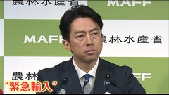 コメの「緊急輸入も検討」小泉農水大臣が発言　備蓄米が尽きた場合 「輸入米」に活路か？| TBS CROSS DIG with Bloomberg