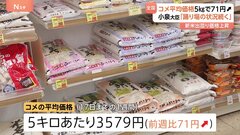 コメ平均価格　5キロ3579円　前週より71円値上がり　小泉大臣「踊り場の状況が続いている」| TBS CROSS DIG with Bloomberg