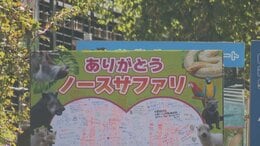【速報】ノースサファリサッポロが閉園 無許可開発問題で20年の歴史に幕を下ろす 延べ200万人が利用…いまだ300以上の動物の移動先に課題|TBS NEWS DIG