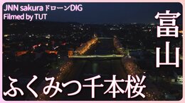 闇夜に浮かぶ ふくみつ千本桜 富山県・南砺市【JNN sakuraドローンDIG 2023】|TBS NEWS DIG