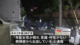 千葉市若葉区の路上に頭から血を流して倒れていた女性　背中には刺し傷　殺人事件として逃げた犯人の行方を追う　千葉県警|TBS NEWS DIG