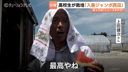 宙づり”スイカを収穫 富山・入善町の高校生「本当にうまくいった