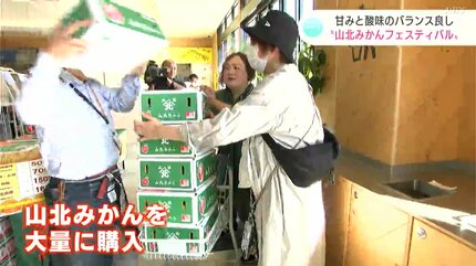 極早生は甘みと酸味のバランス良し！「山北みかんフェスティバル」で