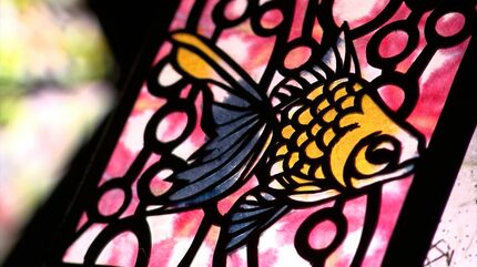 阿智神社で「希莉光あかり」 繊細な模様が闇に浮かぶ幻想的な世界 金魚