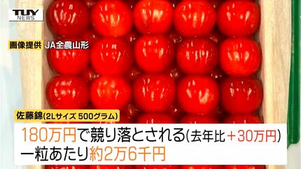 動画】去年より30万円上回る さくらんぼ「佐藤錦」過去最高額の180万円