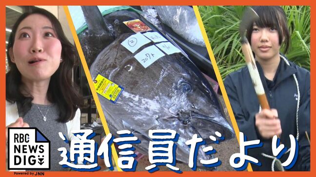 通信員だより・八重山篇　草刈り6トン！／八重山初のクロマグロのセリ／甘～いパインが旬入り|TBS NEWS DIG
