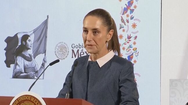 メキシコ大統領　トランプ次期大統領の追加関税に報復関税の可能性を示唆|TBS NEWS DIG