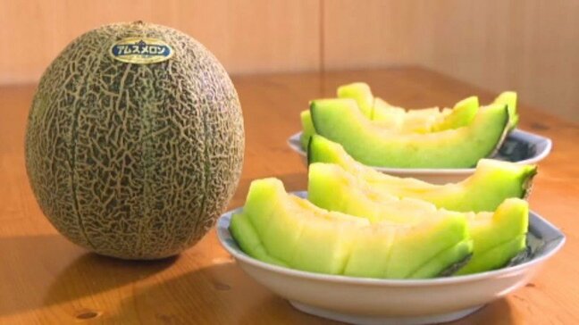 「午前1時から並んだ」直売所に大行列!西条・周桑の特産「アムスメロン」が収穫ピーク、一六本舗との限定コラボケーキも登場|TBS NEWS DIG