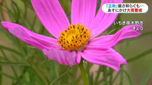 「東京より鹿児島が涼しい」暦の上では秋…暑さ和らぐも大雨に注意|TBS NEWS DIG